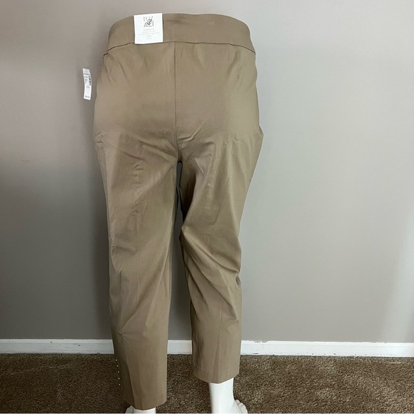 Roz & Ali Classic Fit Ankle Pants - Picture 3 of 12